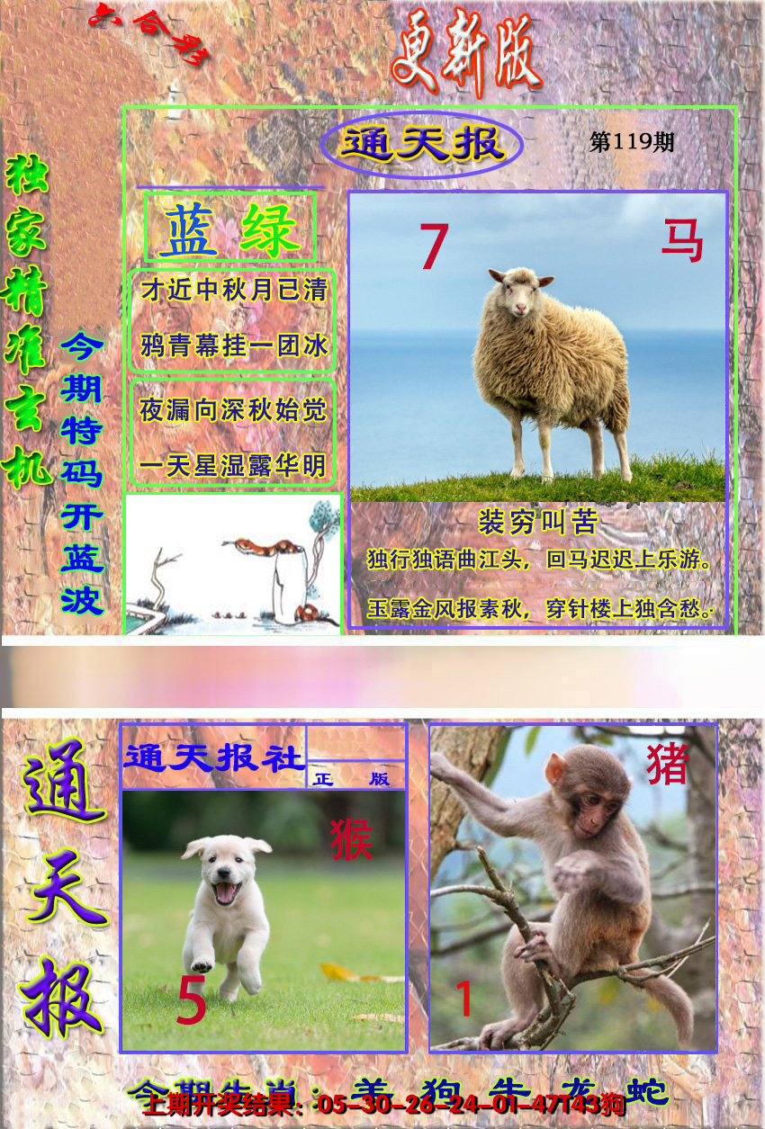 2024119期新通报