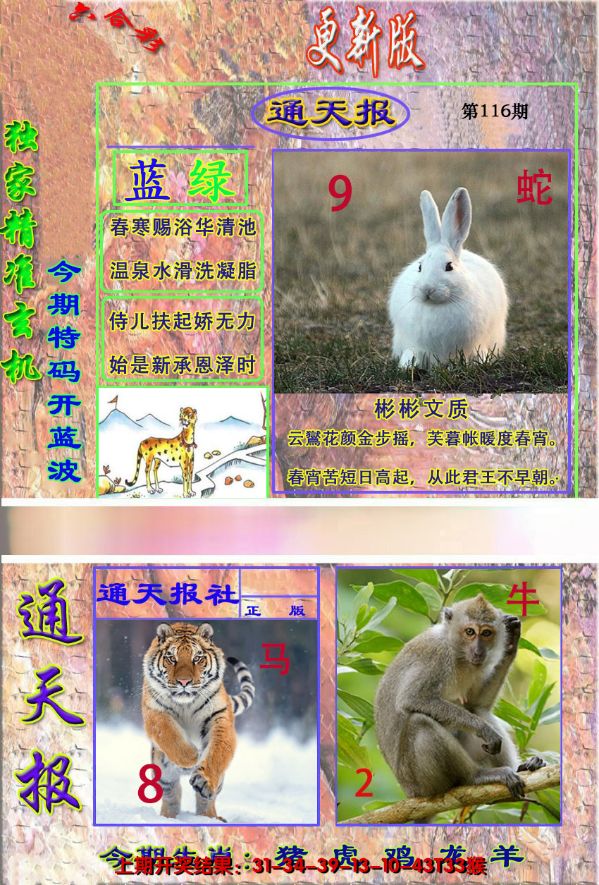 2024116期新通报
