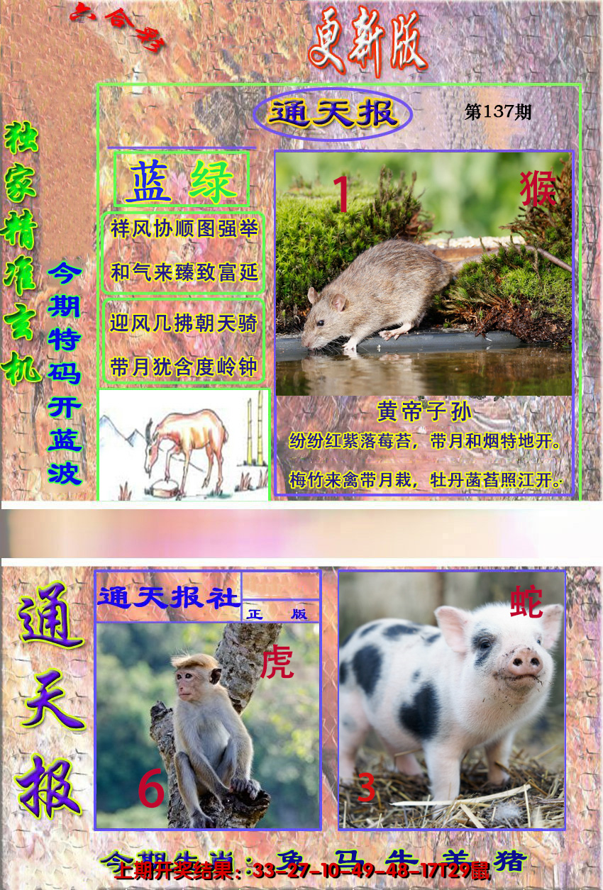 2024137期新通报