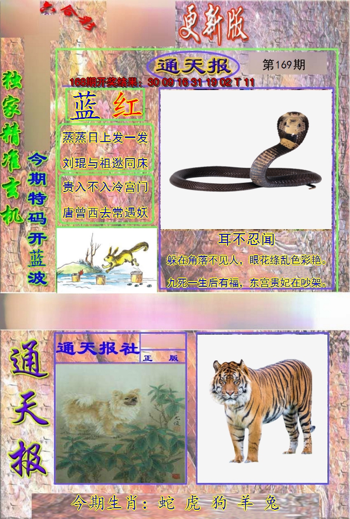 2024169期新通报
