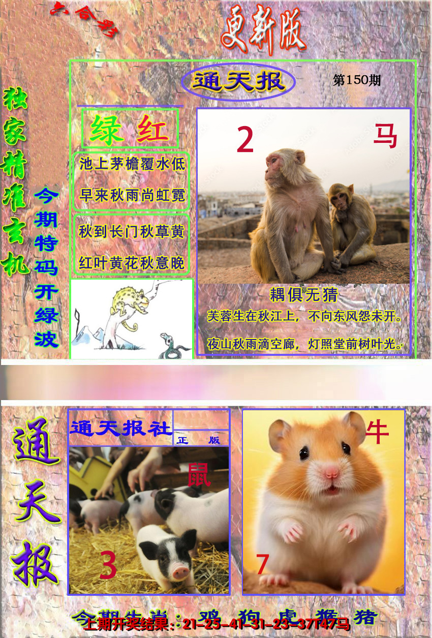 2024150期新通报