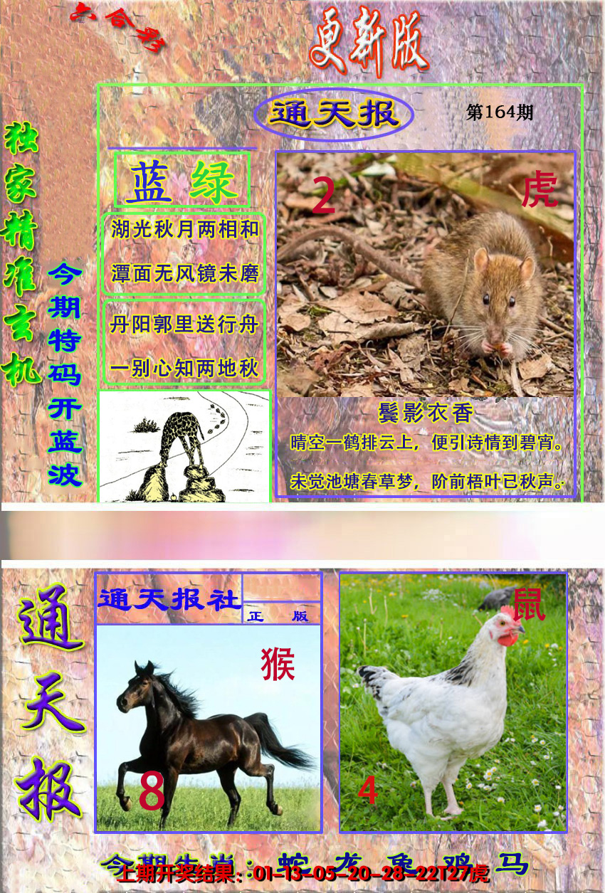 2024164期新通报