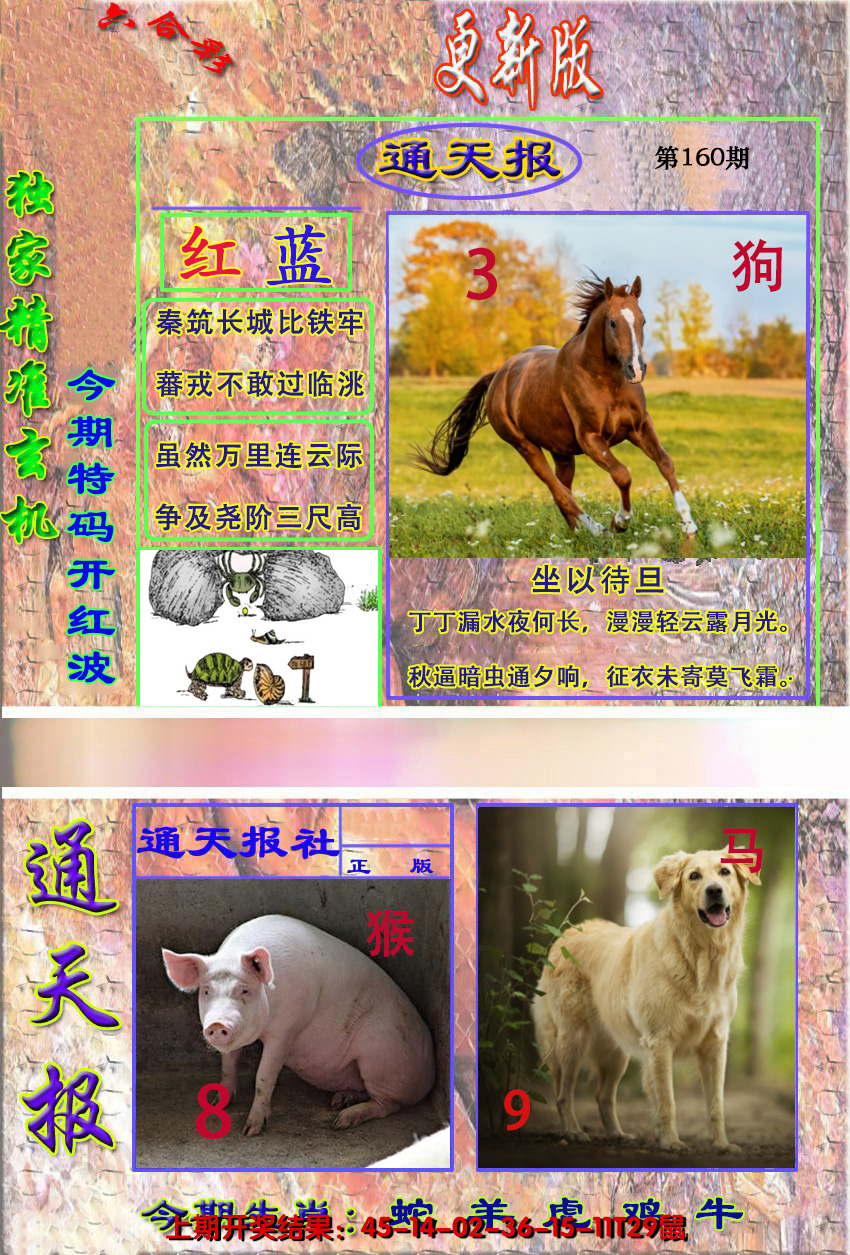 2024160期新通报