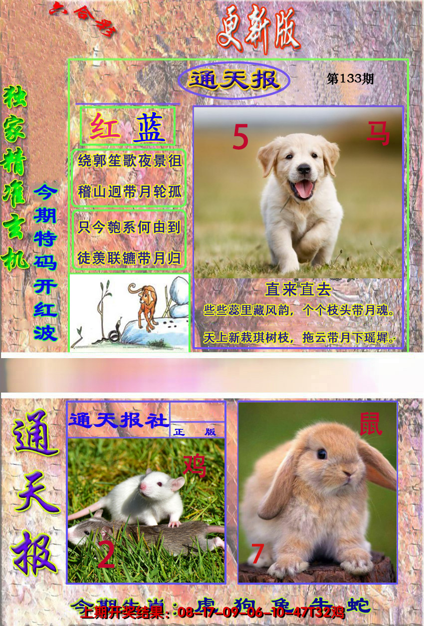 2024133期新通报