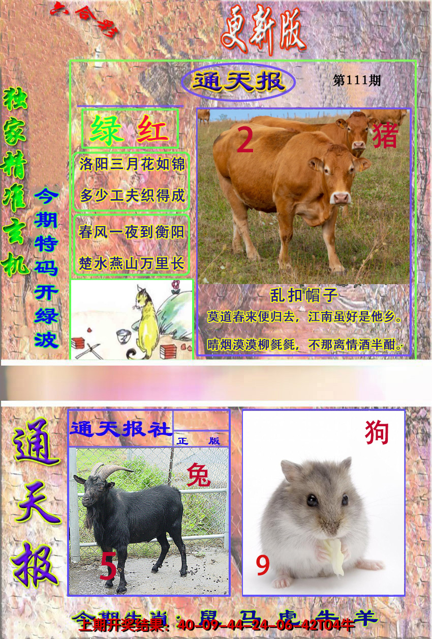2024111期新通报