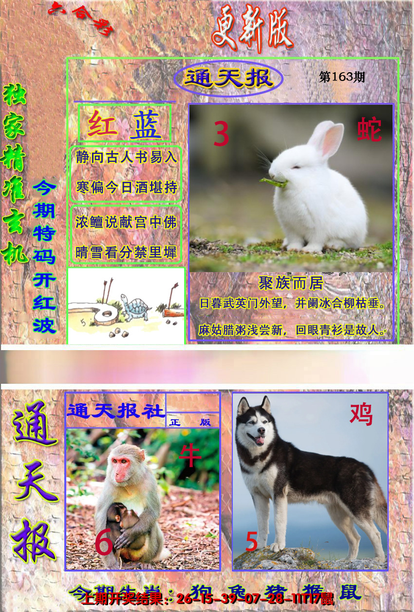 2024163期新通报