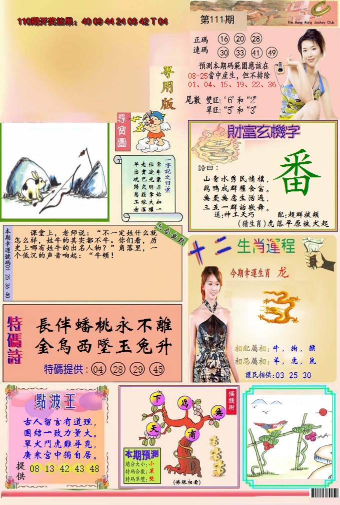 2024111期九龍专用版(推荐)