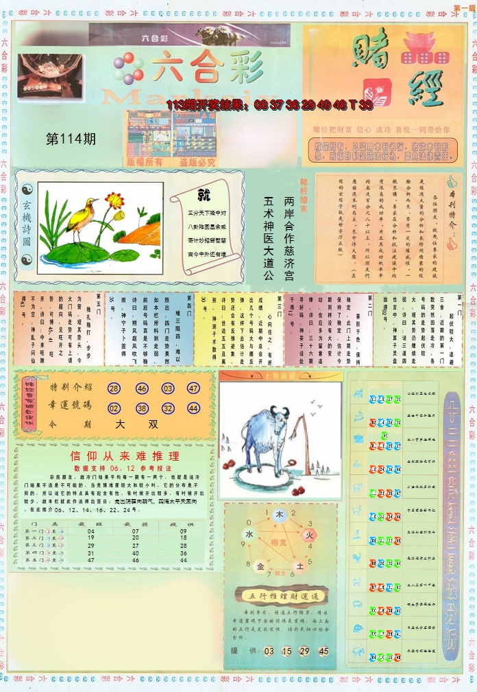 2024114期小赌经A