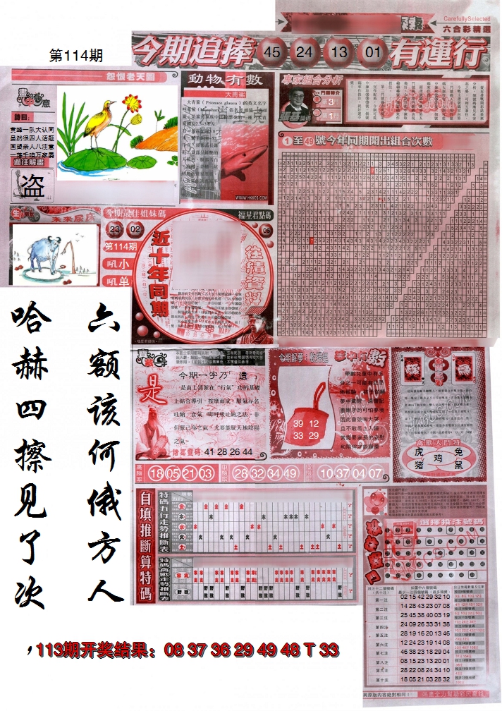 2024114期新六合精选B