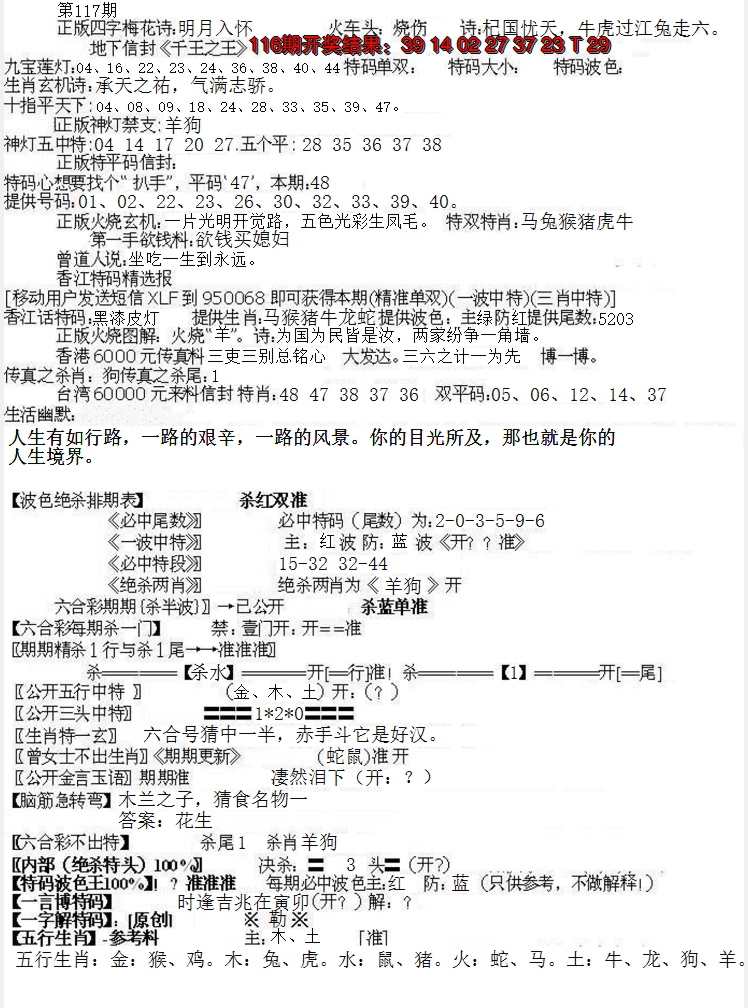 2024117期先锋总刚B