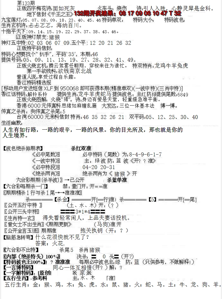 2024133期先锋总刚B
