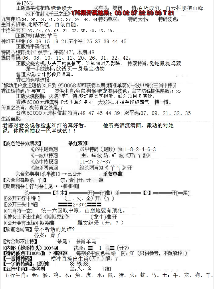 2024176期先锋总刚B