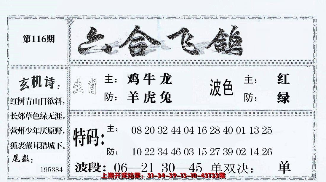 2024116期六合飞鸽
