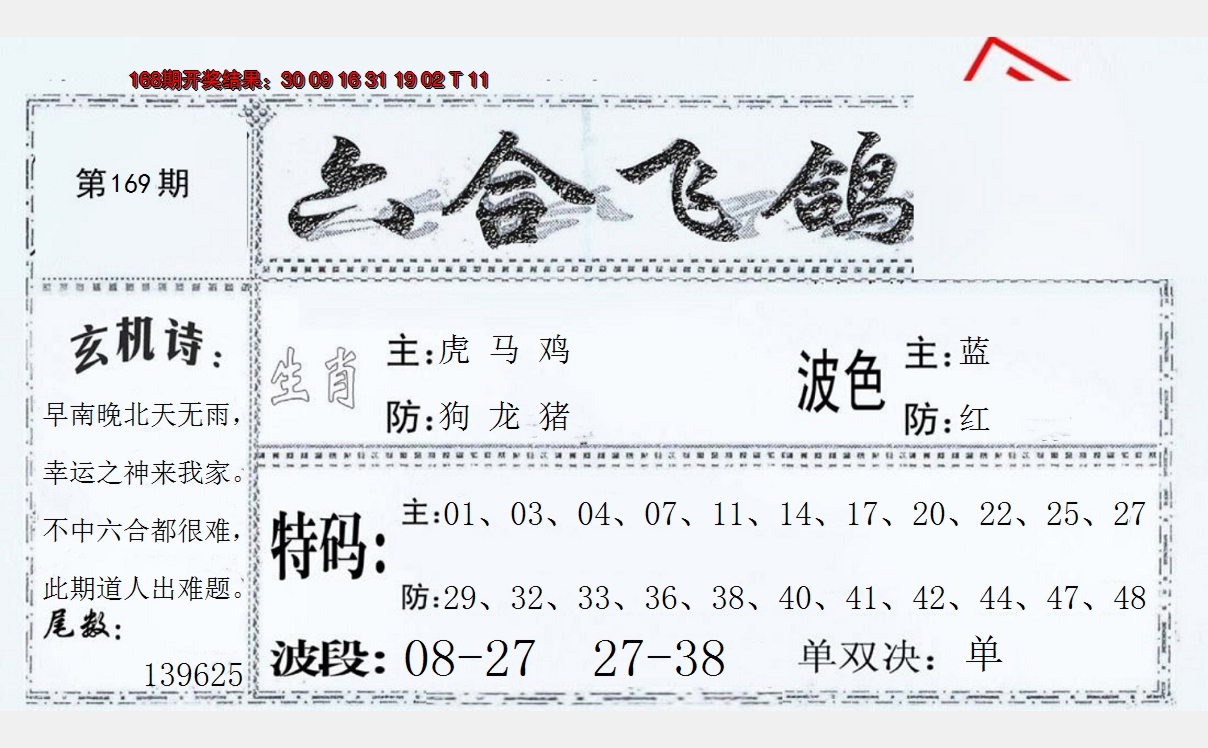 2024169期六合飞鸽
