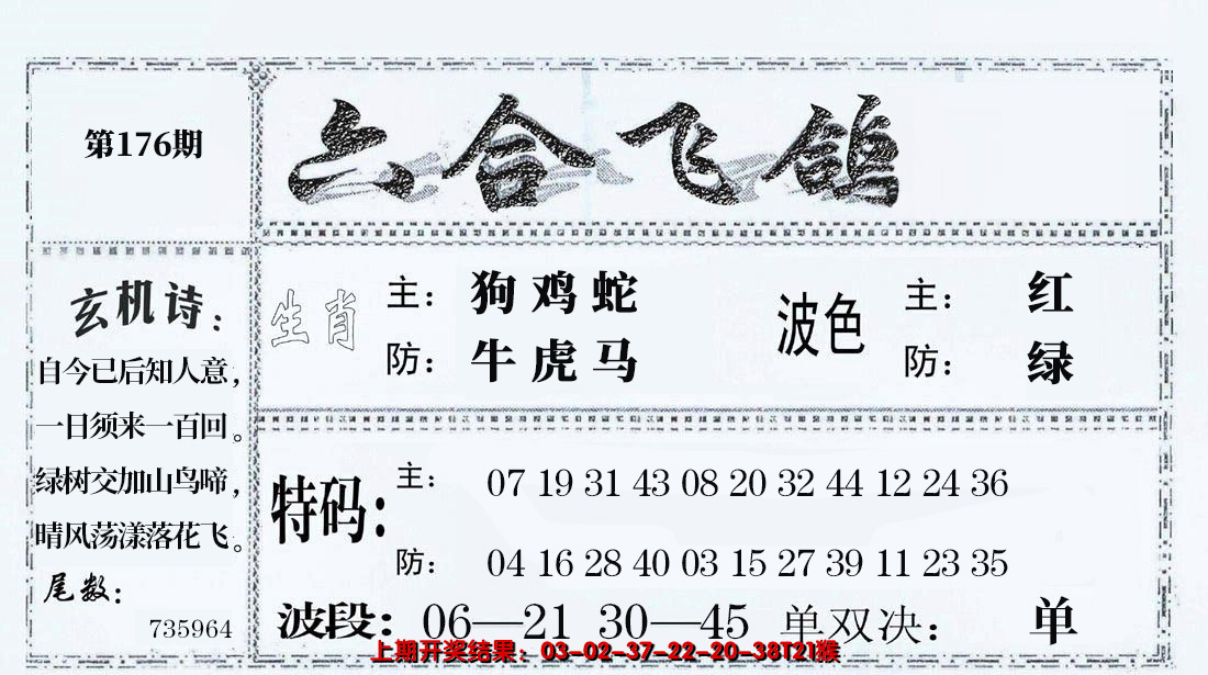 2024176期六合飞鸽