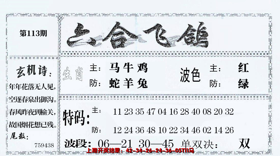 2024113期六合飞鸽