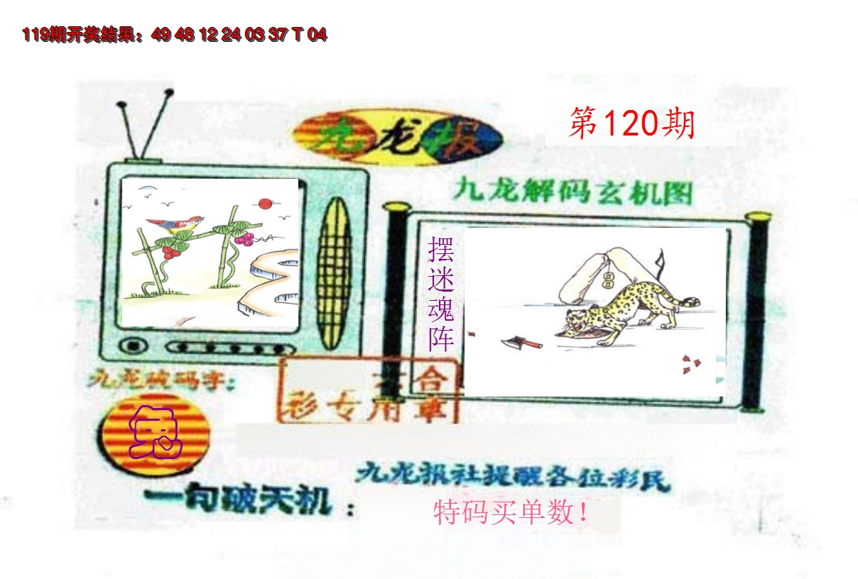 2024120期九龙报