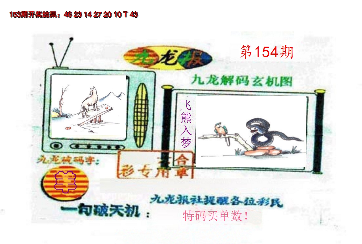2024154期九龙报