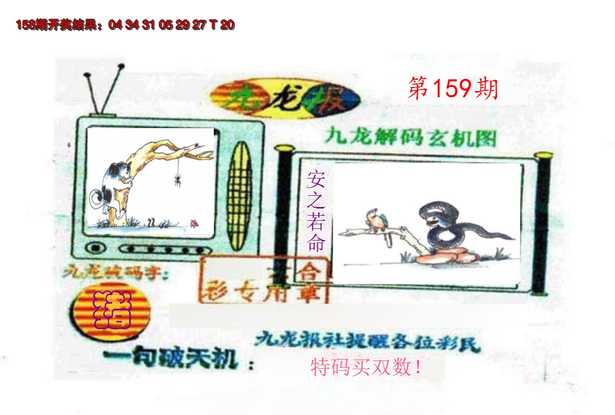 2024159期九龙报