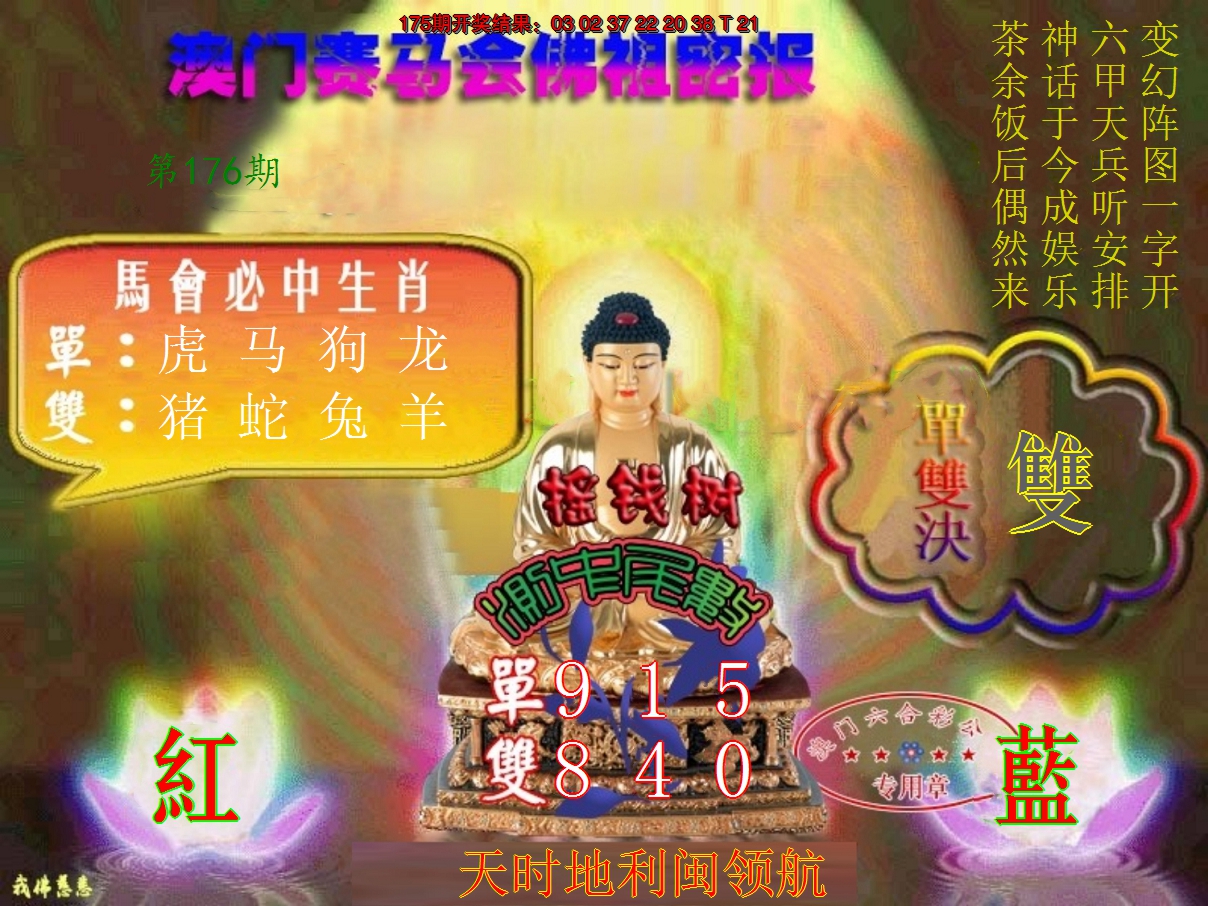 2024176期佛主密报-莲花双宝