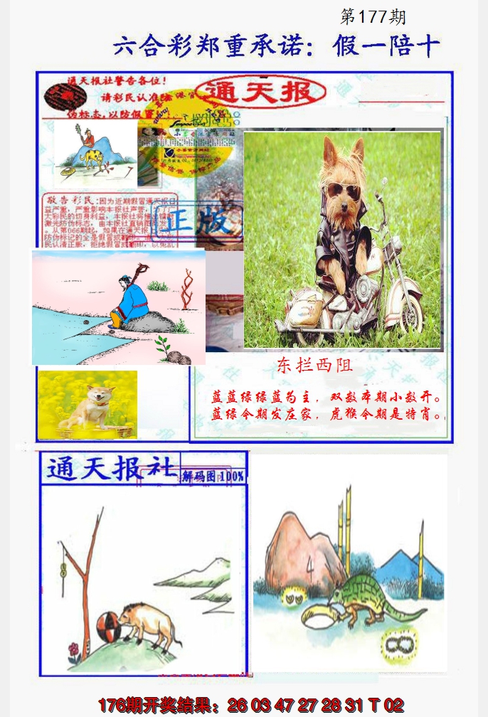 2024177期假一陪十通天报