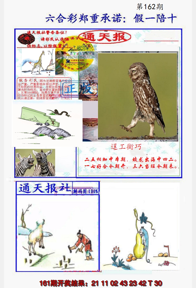 2024162期假一陪十通天报