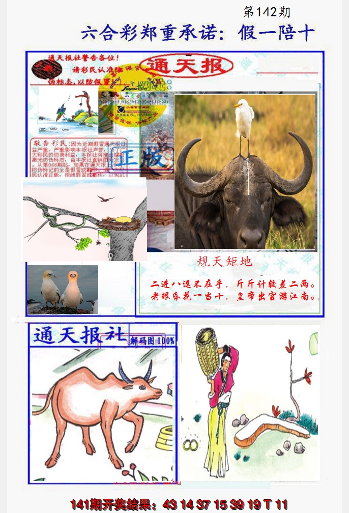 2024142期假一陪十通天报