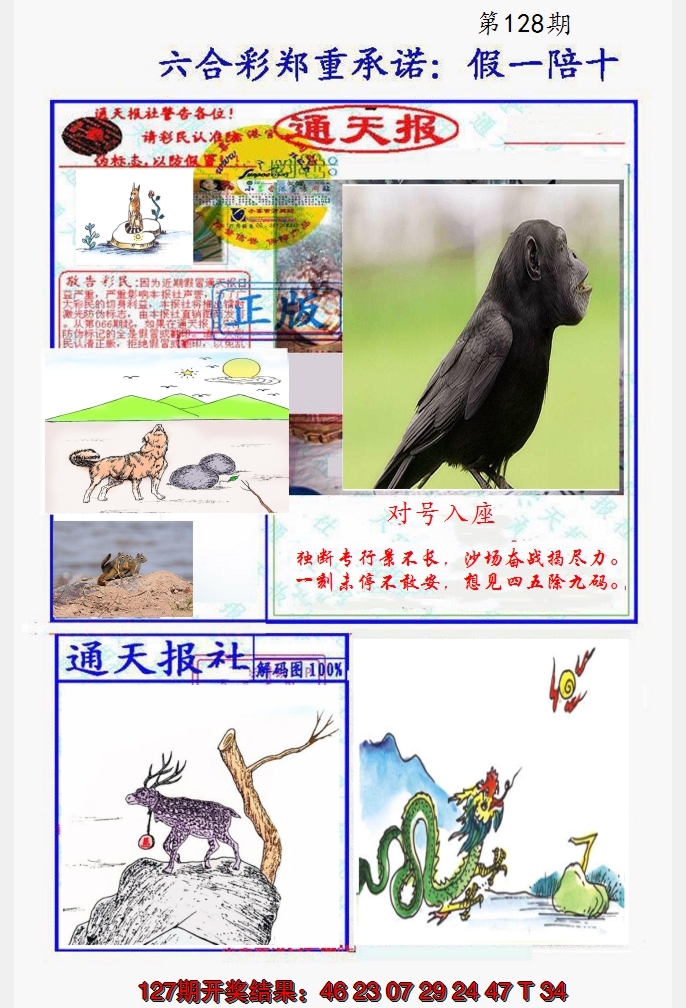 2024128期假一陪十通天报