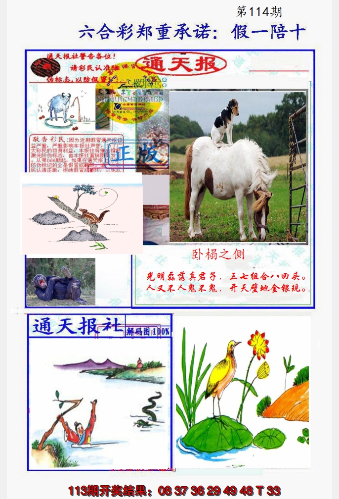2024114期假一陪十通天报