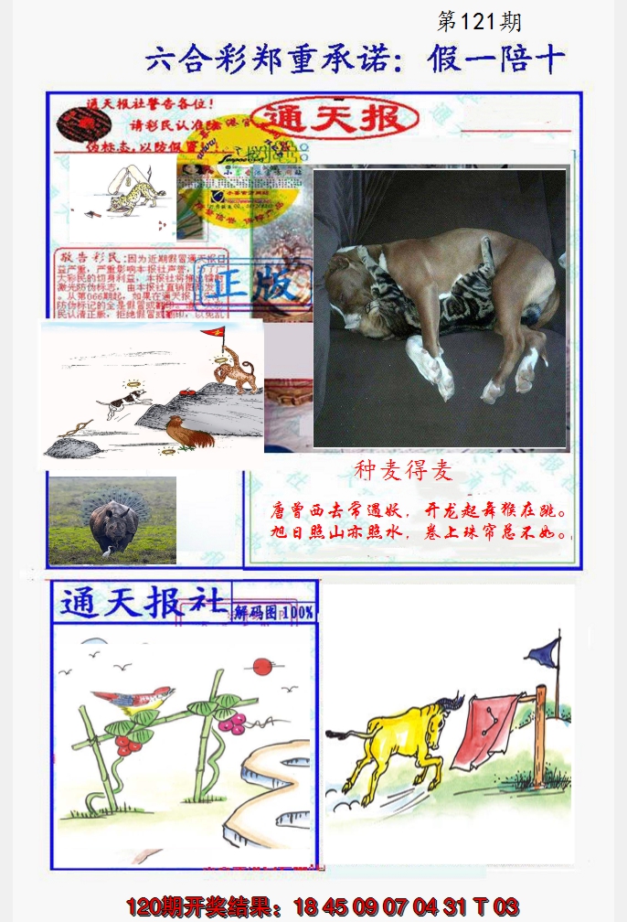 2024121期假一陪十通天报