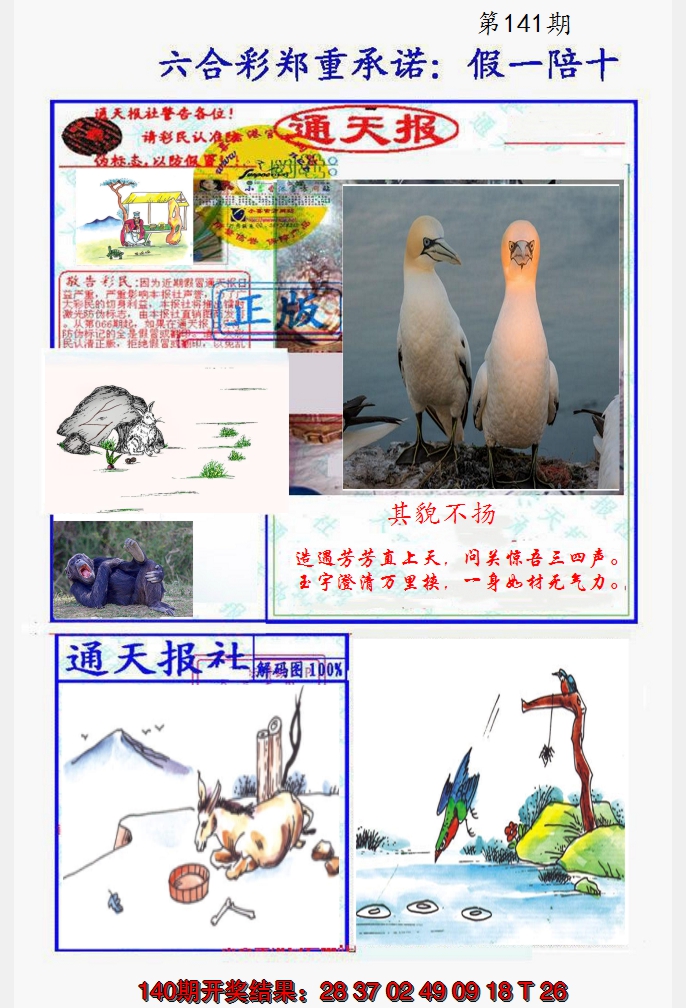 2024141期假一陪十通天报