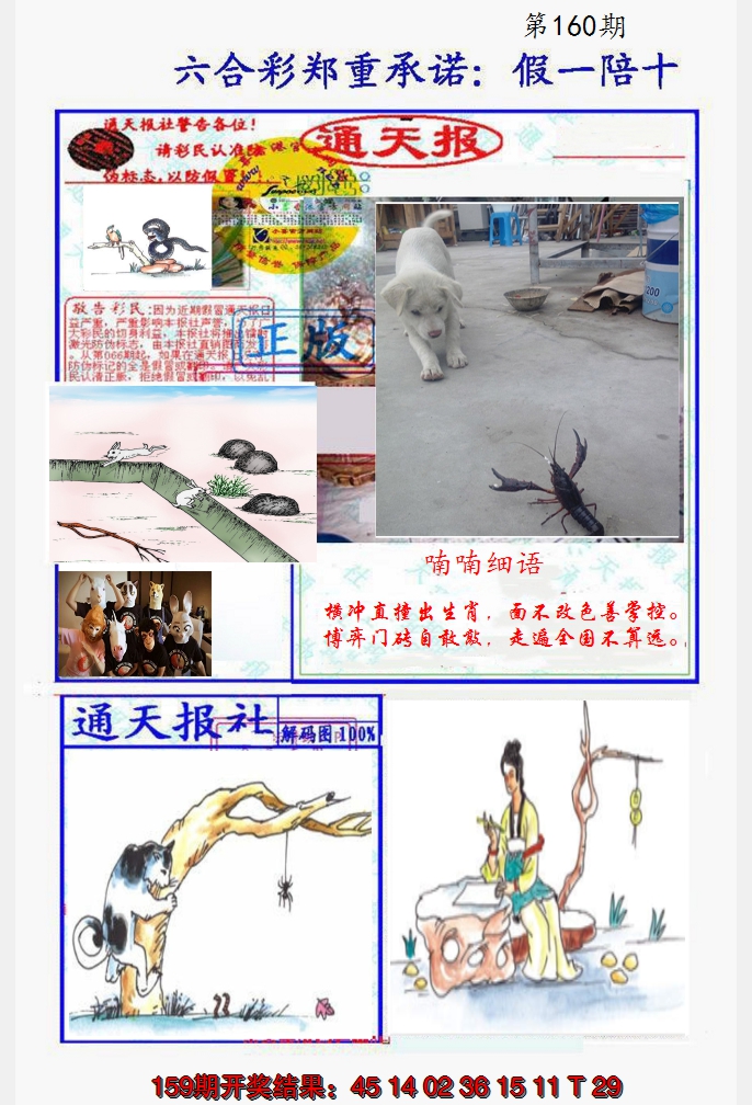 2024160期假一陪十通天报