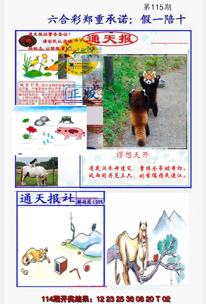 2024115期假一陪十通天报