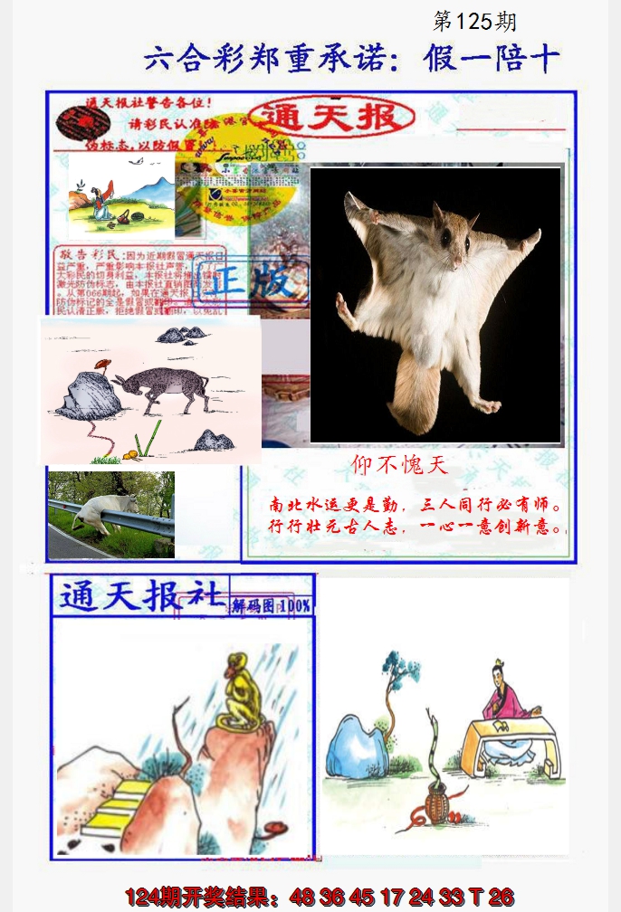 2024125期假一陪十通天报