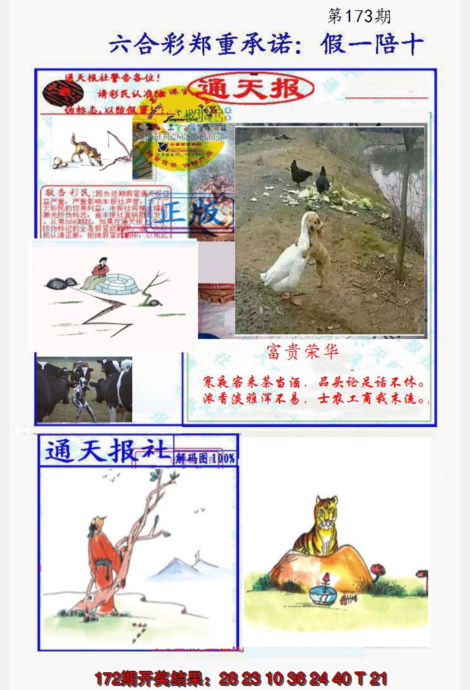 2024173期假一陪十通天报