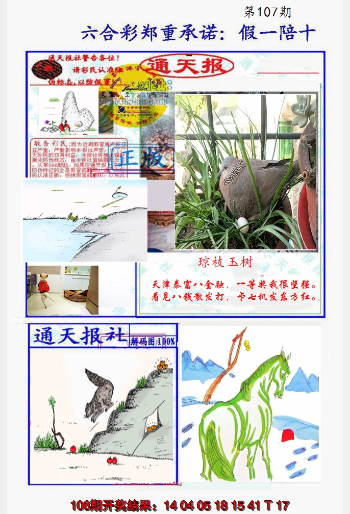 2024107期假一陪十通天报