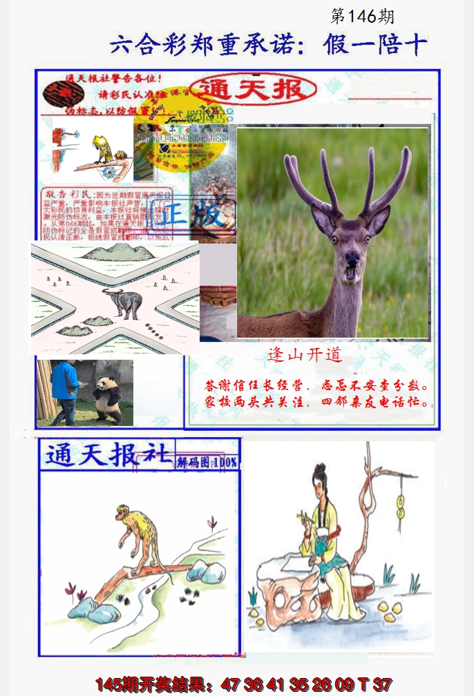 2024146期假一陪十通天报