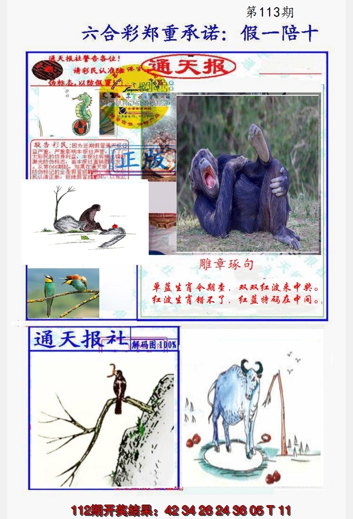 2024113期假一陪十通天报