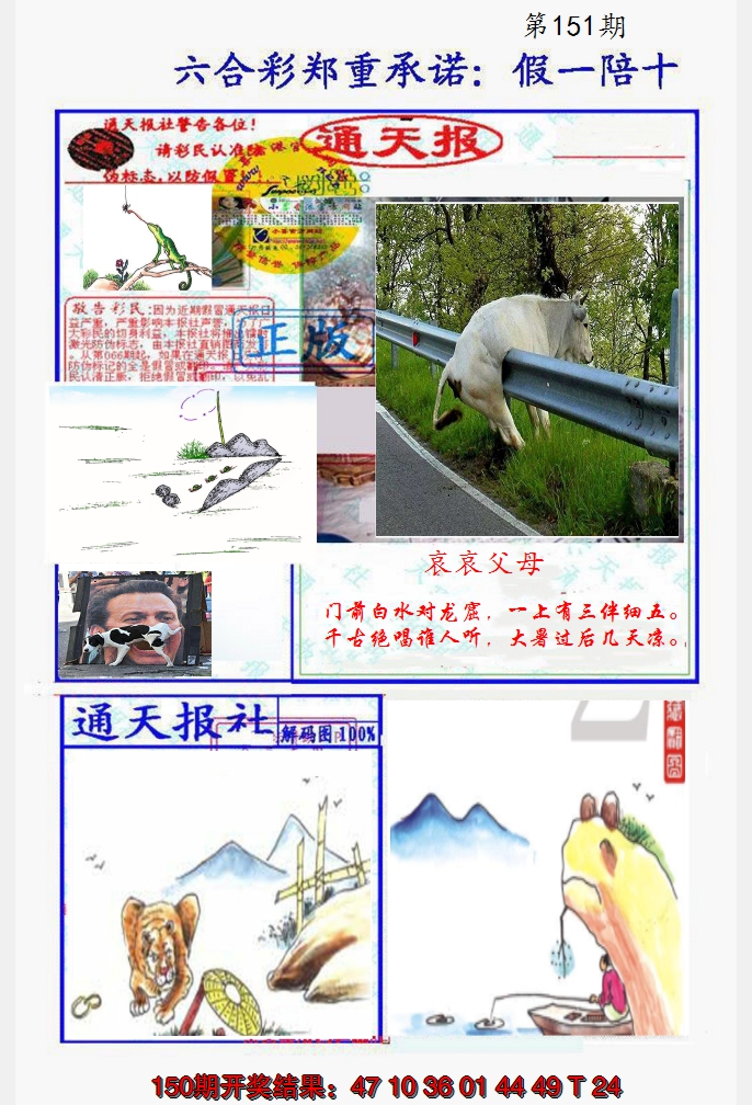 2024151期假一陪十通天报