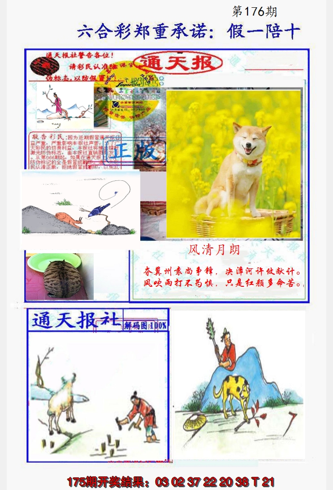 2024176期假一陪十通天报
