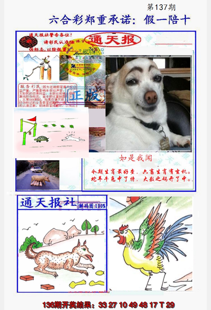2024137期假一陪十通天报