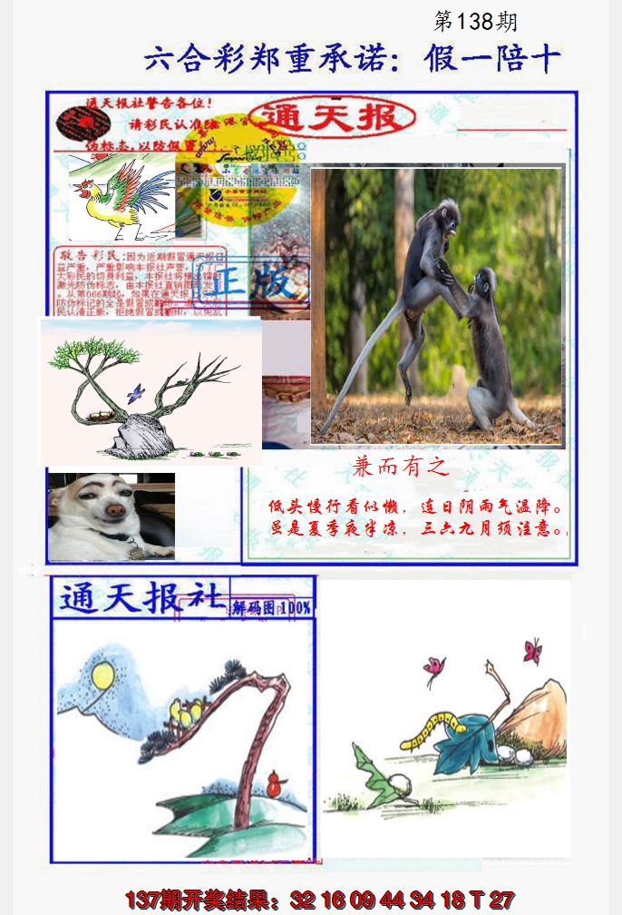 2024138期假一陪十通天报