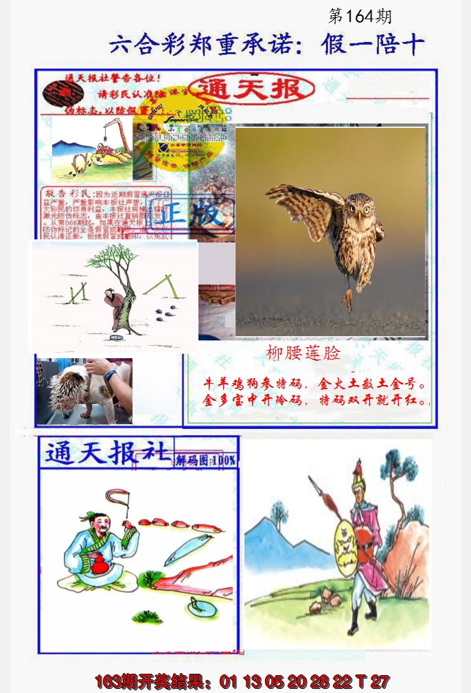 2024164期假一陪十通天报