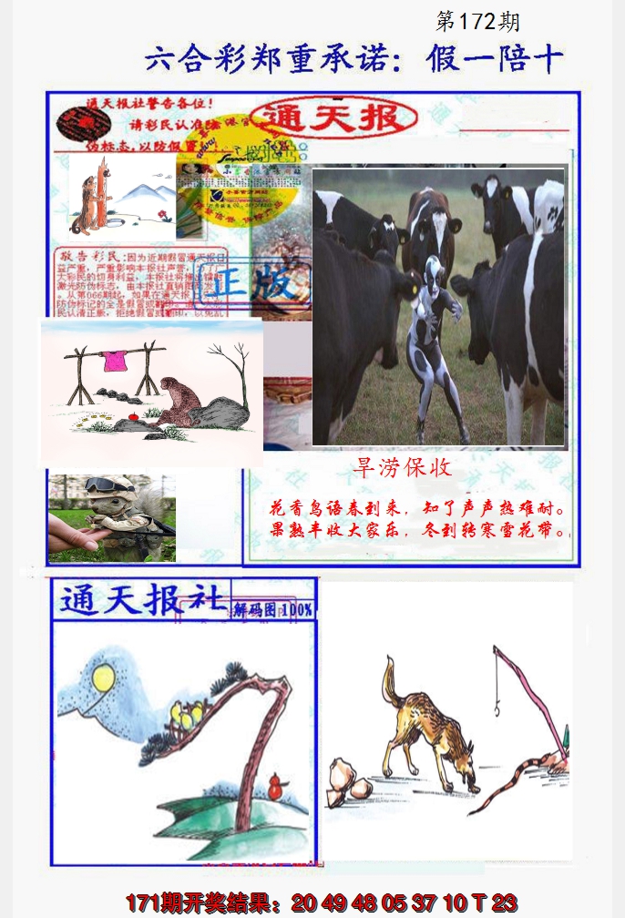 2024172期假一陪十通天报