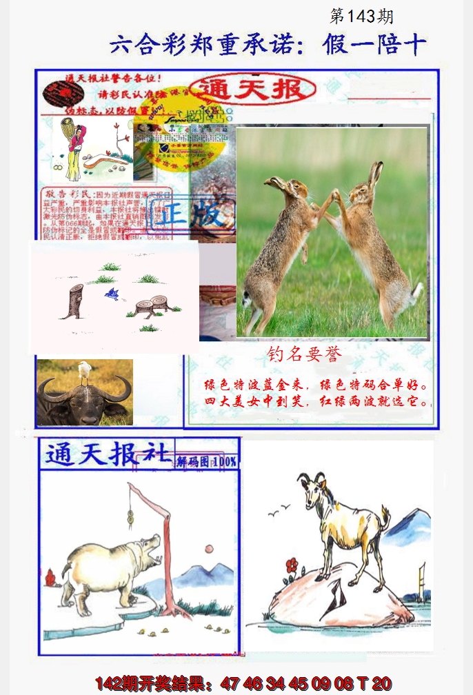 2024143期假一陪十通天报