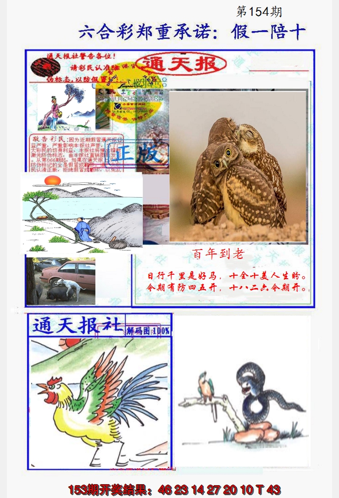 2024154期假一陪十通天报