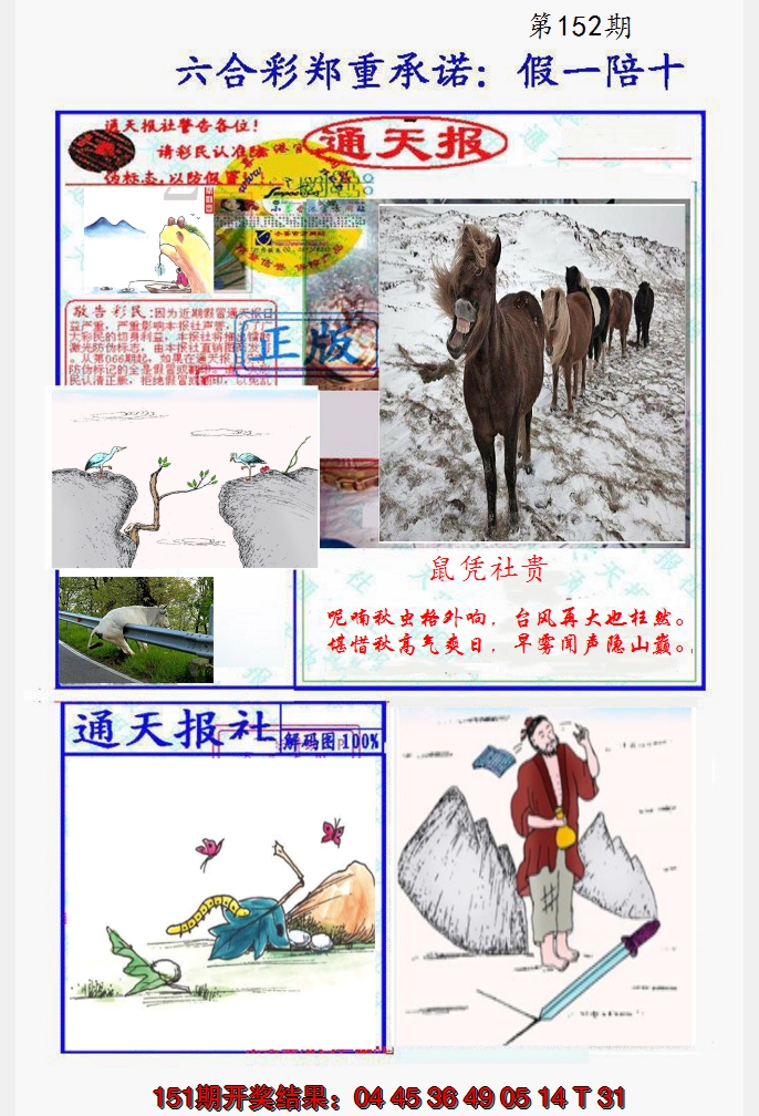2024152期假一陪十通天报
