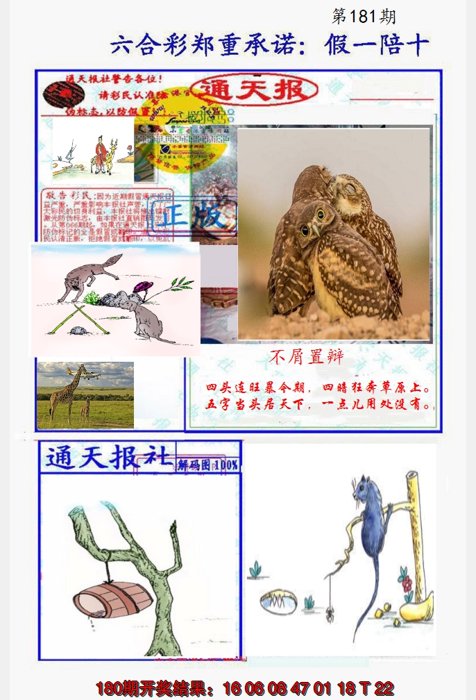 2024181期假一陪十通天报
