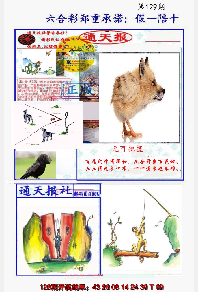 2024129期假一陪十通天报