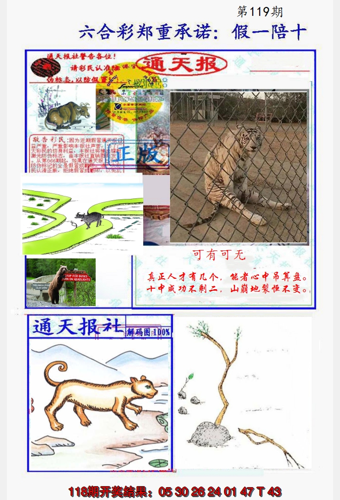 2024119期假一陪十通天报